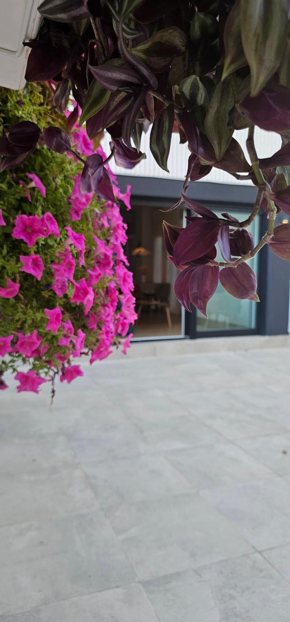 Apartamento Albayda Garden Granada Exterior foto